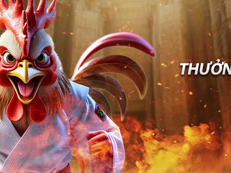 Biểu tượng mạng xã hội và loa phóng thanh