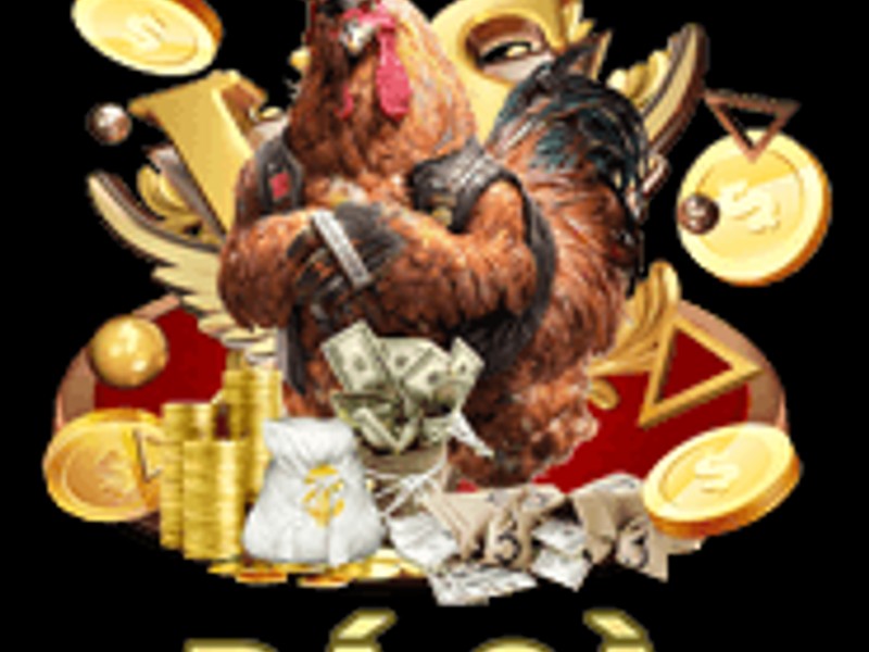 Hình ảnh cúp chiến thắng và đống tiền thưởng K88